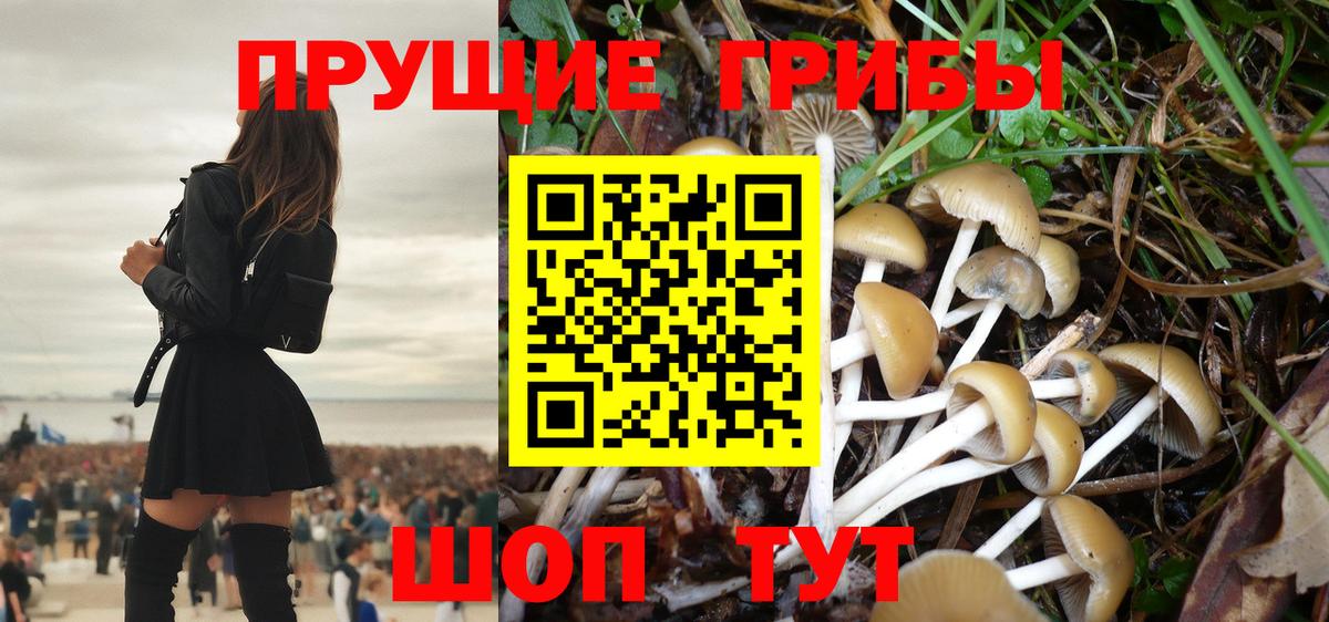 Псилоцибиновые грибы мухоморы  Вход с VPN  Кунгур 