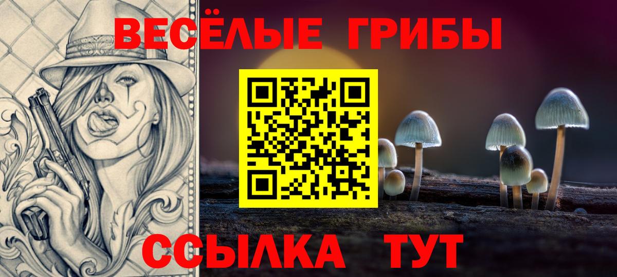 Галлюциногенные грибы Cubensis Кунгур